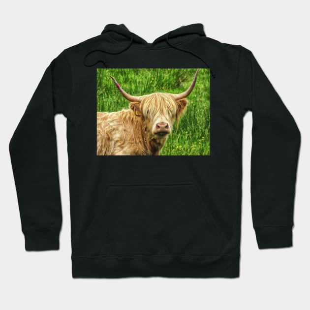 Highland cow in the green grass Hoodie by Jane Braat